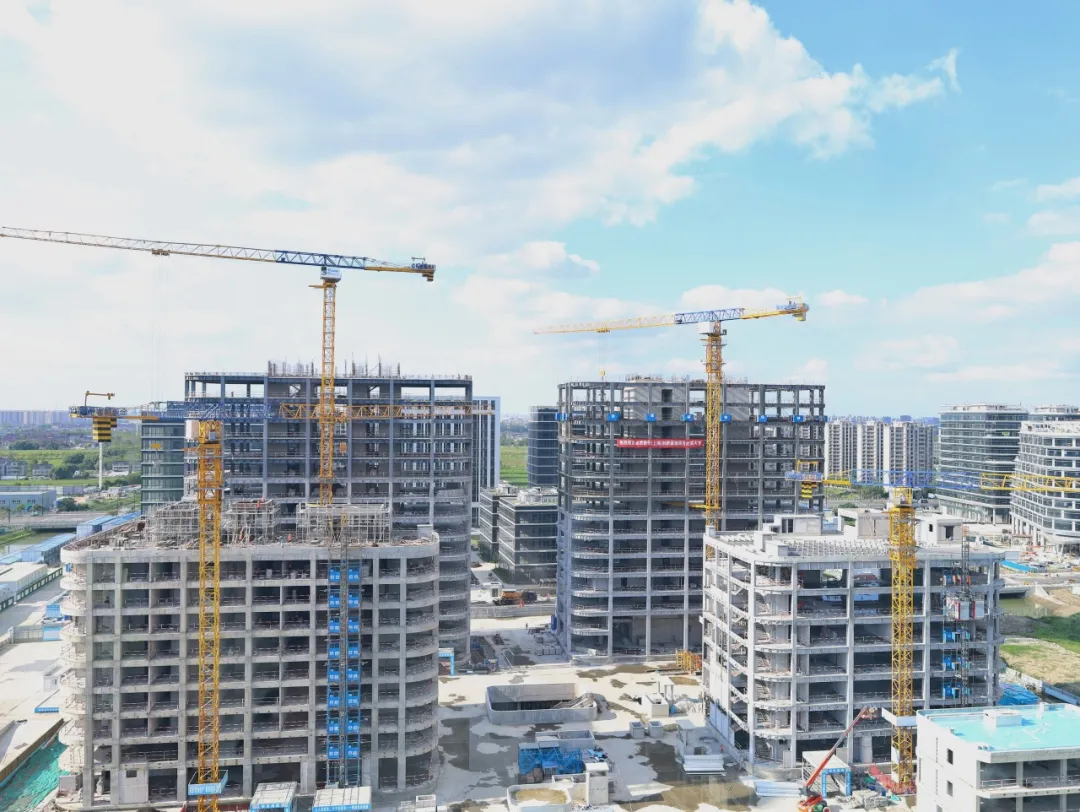 同心同向 造炬成阳 | DB真人2024年第三季度动态速览